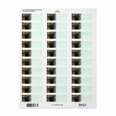 Ranger Kat kerstretour-labels Etiket (Full Sheet)