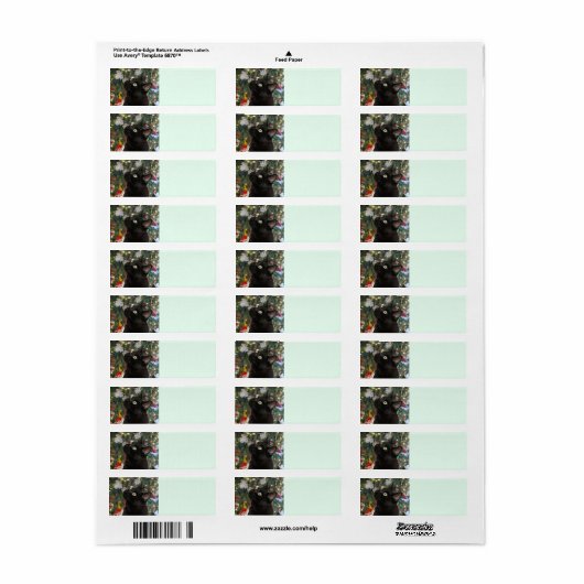 Ranger Kat kerstretour-labels Etiket (Full Sheet)