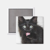 Ranger Kitten Cleaning Paw Magnet (Voorkant / Achterkant)