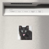 Ranger Kitten Cleaning Paw Magnet (Insitu (Vaatwasser))