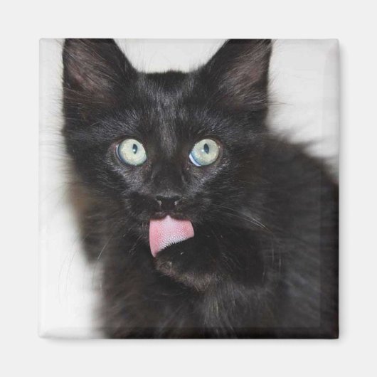 Ranger Kitten Cleaning Paw Magnet (Voorkant)