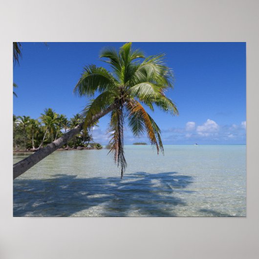 Rangiroa Blauwe Lagune Tropische Palm Poster (Voorkant)