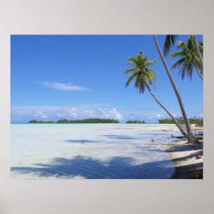 Rangiroa Blue Lagoon Palm Poster