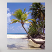 Rangiroa Blue Lagoon Poster (Voorkant)