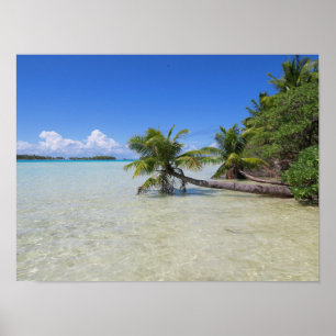 Rangiroa Frans-Polynesië Poster