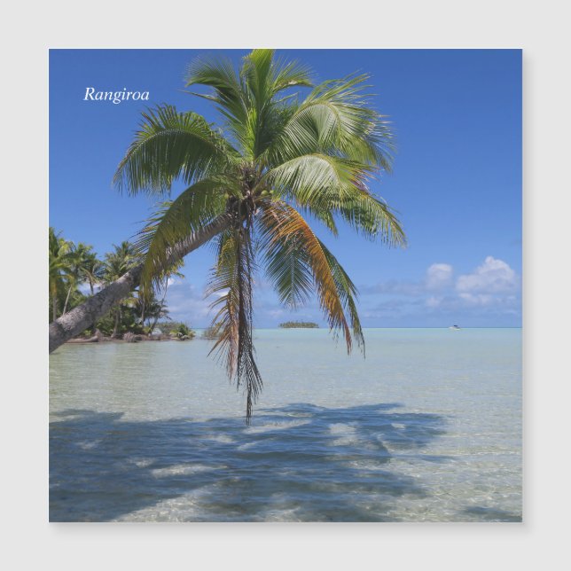 Rangiroa Palm Tree (Voorkant)