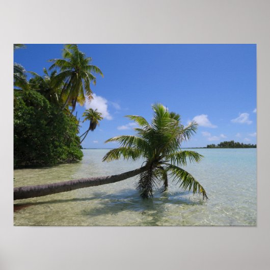 Rangiroa Palm Tree Poster (Voorkant)