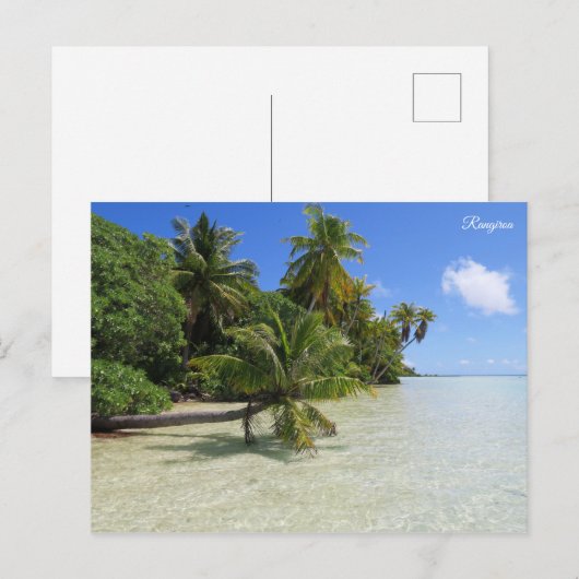 Rangiroa Palm Trees Briefkaart (Voorkant / Achterkant)