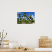 Rangiroa Palm Trees Poster (Keuken)