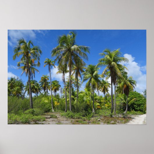 Rangiroa Palm Trees Poster (Voorkant)
