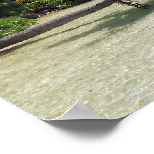 Rangiroa Palm Trees Poster (Hoek)