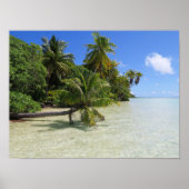 Rangiroa Palm Trees Poster (Voorkant)