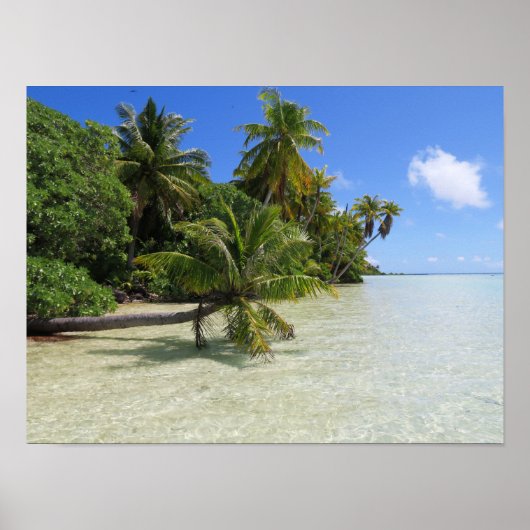 Rangiroa Palm Trees Poster (Voorkant)