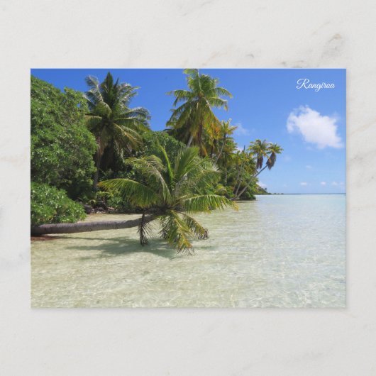 Rangiroa Palmbomen Feestdagenkaart (Voorkant)