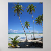 Rangiroa Poster (Voorkant)