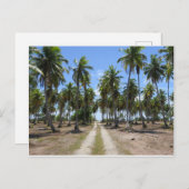 Rangiroa weg naar het paradijs briefkaart (Voorkant / Achterkant)