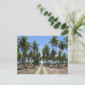 Rangiroa weg naar het paradijs briefkaart (Staand voorkant)
