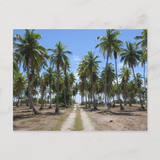 Rangiroa weg naar het paradijs briefkaart (Voorkant)