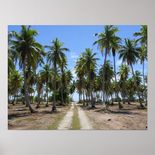 Rangiroa weg naar het paradijs poster (Voorkant)
