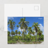 Rangiroampalmen Briefkaart (Voorkant / Achterkant)