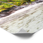 Rangiroampalmen Poster (Hoek)