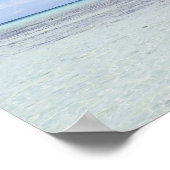 Rangiroampalmen Poster (Hoek)