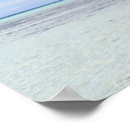 Rangiroampalmen Poster (Hoek)