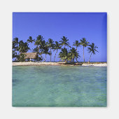 Ranguana Caye, Belize Magneet (Voorkant)