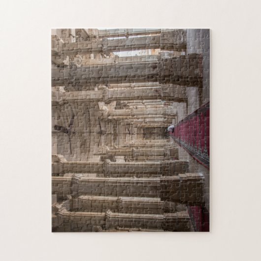 Rani Sipri's moskee Tomb Legpuzzel (Verticaal)