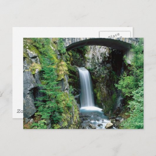 Ranier Nat. Park, Washington 5 Briefkaart (Voorkant / Achterkant)