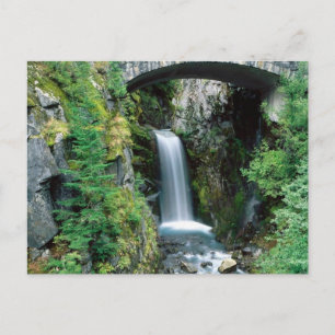 Ranier Nat. Park, Washington 5 Briefkaart