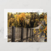 Ranney Gorge Suspension Bridge Briefkaart (Voorkant / Achterkant)
