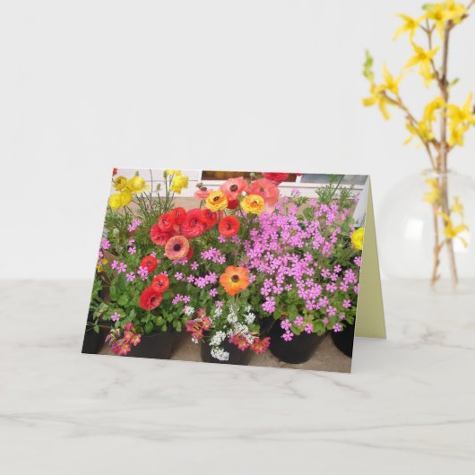 Rannunculus Lente Bollen Bloemen Bloemen Kaart (Gele Bloem)