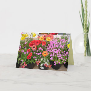 Rannunculus Lente Bollen Bloemen Bloemen Kaart