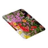 Rannunculus Lente Bollen Bloemen Bloemen Magneet (Rechterzijde)