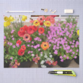 Rannunculus Lente Bollen Verjaardag Roze Tuin Tissuepapier (Craft)