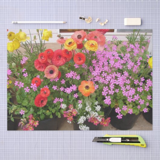 Rannunculus Lente Bollen Verjaardag Roze Tuin Tissuepapier (Craft)