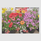 Rannunculus Lente Bollen Verjaardag Roze Tuin Tissuepapier (Voorkant)