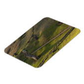 Rano Raraku, Rapa Nui, Paaseiland, Chili Magneet (Linkerzijde)