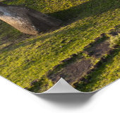 Rano Raraku, Rapa Nui, Paaseiland, Chili Poster (Hoek)