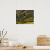 Rano Raraku, Rapa Nui, Paaseiland, Chili Poster (Keuken)