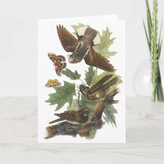 Ranselen-slecht-wil, John Audubon Kaart (Voorkant)