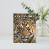 Ranthambore Nationaal Park India Briefkaart (Staand voorkant)