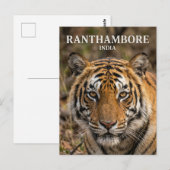 Ranthambore Nationaal Park India Briefkaart (Voorkant / Achterkant)