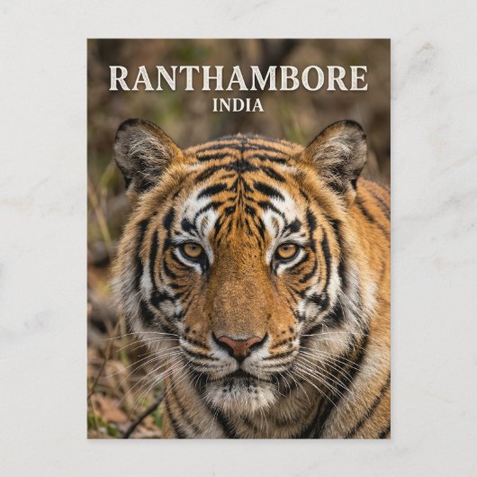 Ranthambore Nationaal Park India Briefkaart (Voorkant)