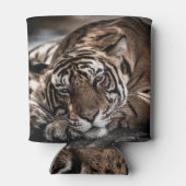 Ranthambore tijger: close-up fijne kunst. blikjeskoeler (Achterkant)