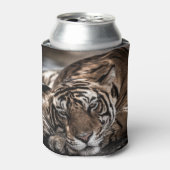 Ranthambore tijger: close-up fijne kunst. blikjeskoeler (Blikje Voorkant)