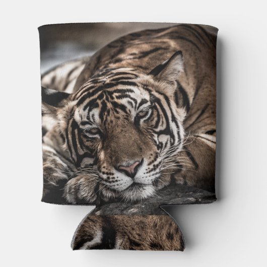 Ranthambore tijger: close-up fijne kunst. blikjeskoeler (Achterkant)