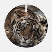 Ranthambore tijger: close-up fijne kunst. glas ornament (Achterkant)