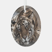 Ranthambore tijger: close-up fijne kunst. glas ornament (Voorkant links)